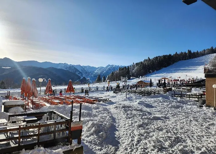 Les Isards Pied Des Pistes